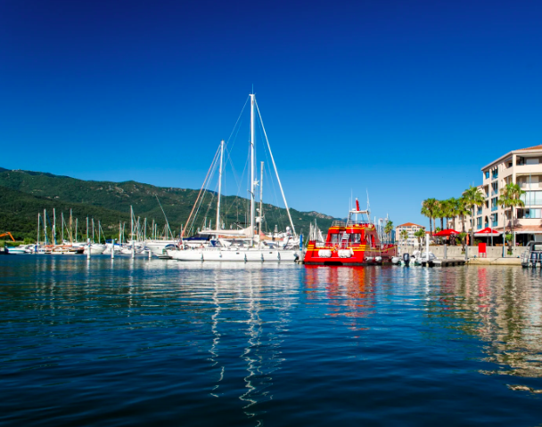 Mer et Montagne depuis le port d'Argelès sur Mer